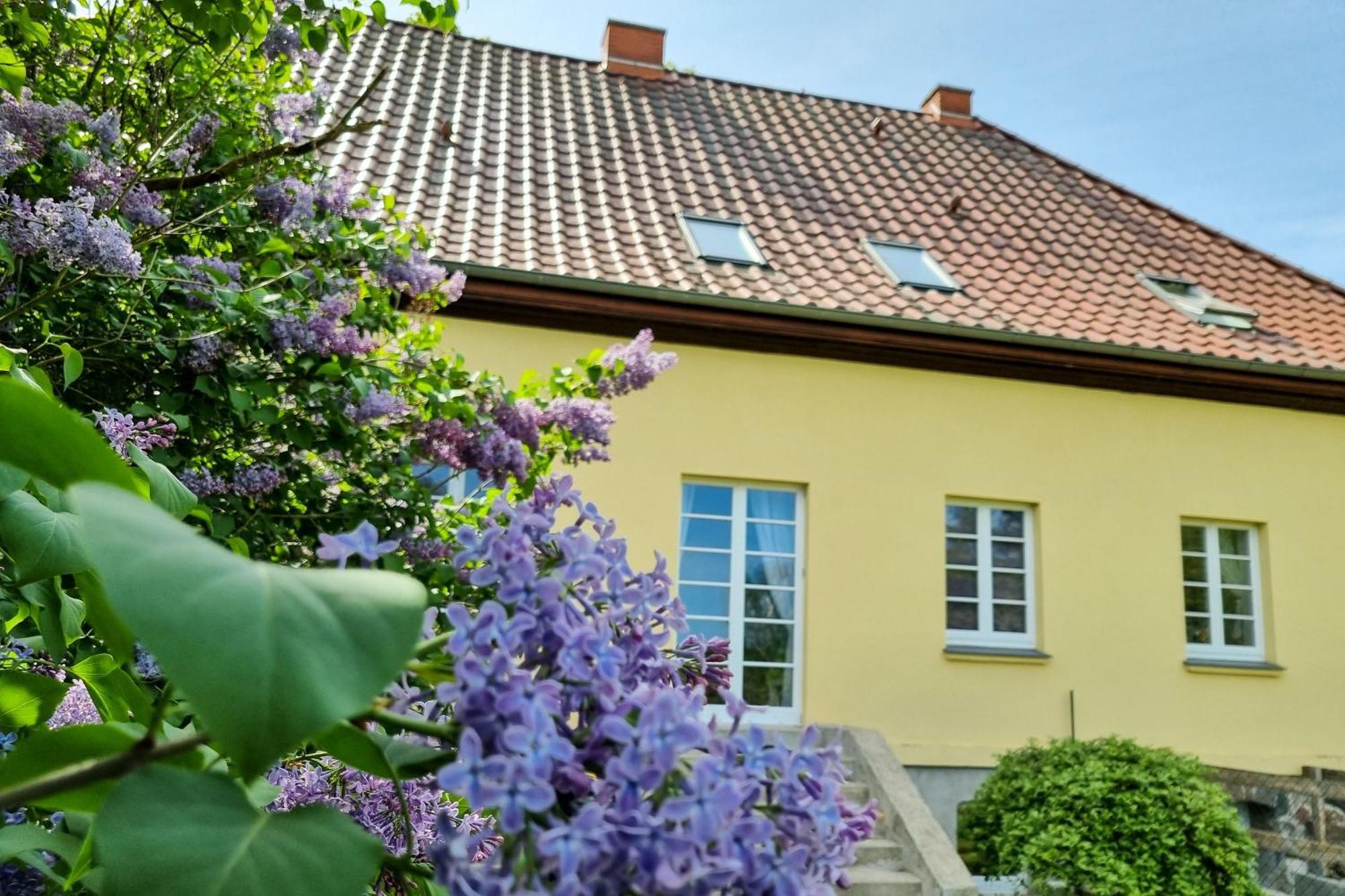 Ferienwohnung Gutshaus Neu Necheln Bruel Exterior foto